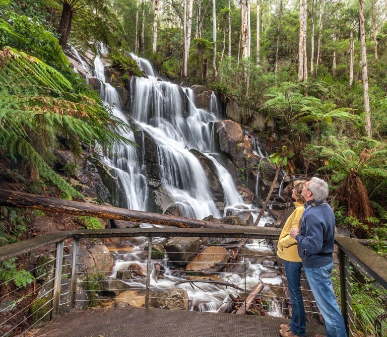 Torongo Falls - Noojee - 35mins away